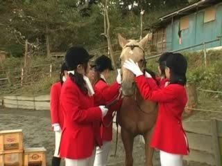 Get down and dirty with this Japan Fuck in the Stable JAV XXX TUBE for your ultimate male pleasure